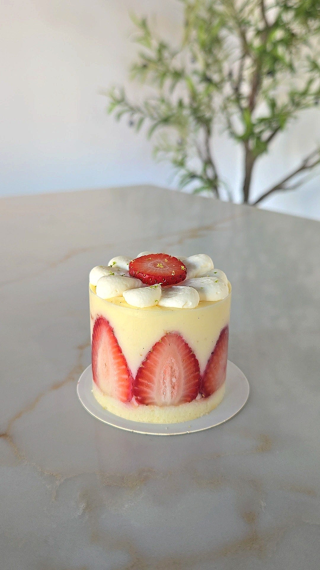 FRAISIER - INDIVIDUAL-SIZED COLLECTION
