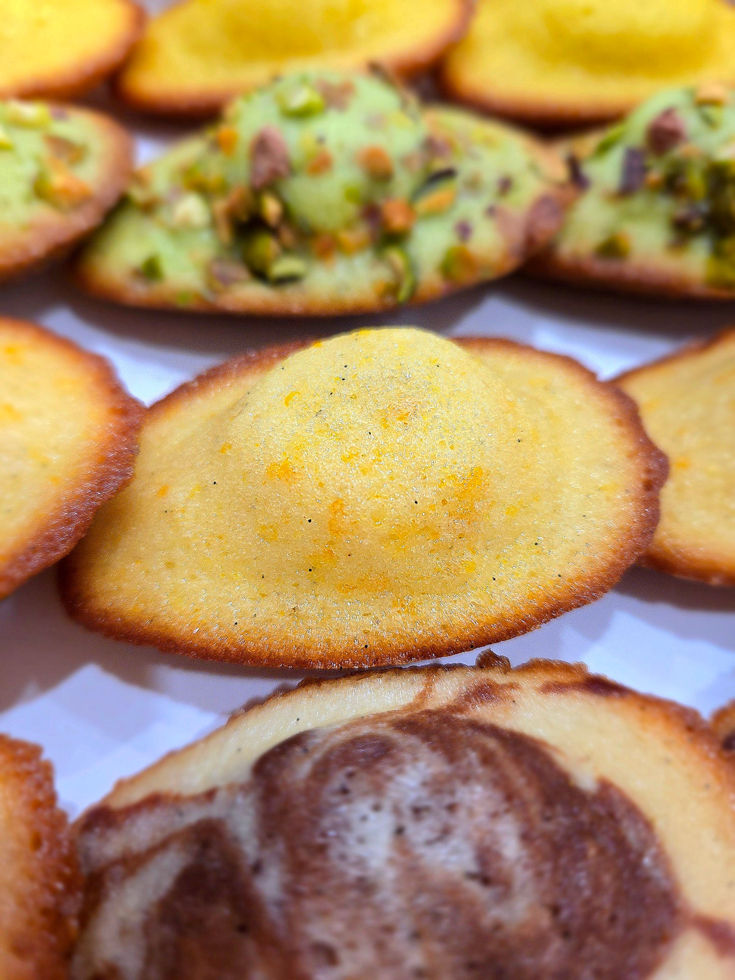MADELEINES - COLLECTION GOURMANDE (BOX OF 12)