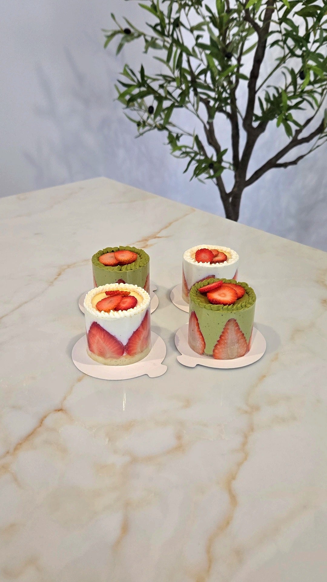 FRAISIER - COLLECTION GOURMANDE