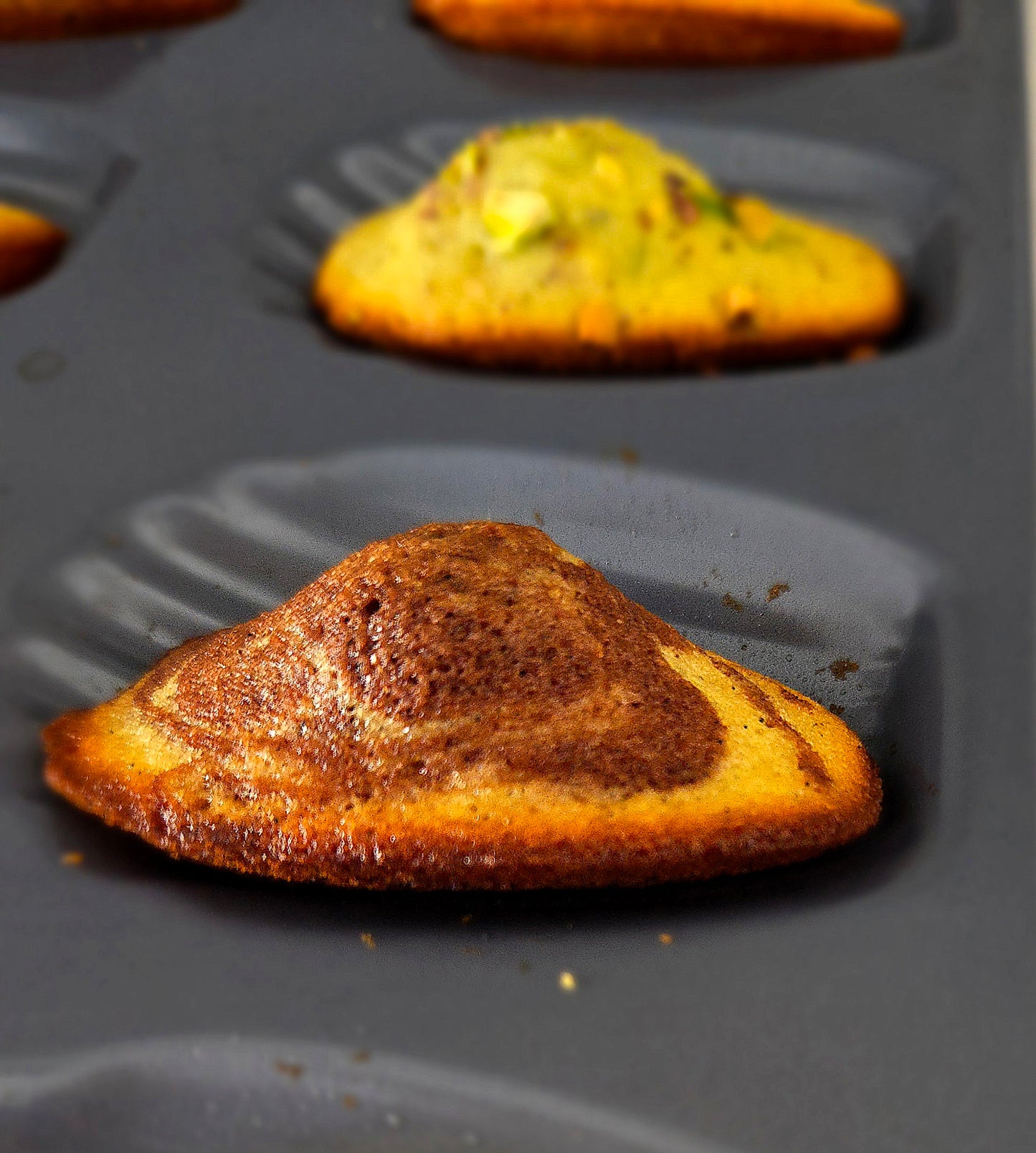 MADELEINES - COLLECTION GOURMANDE (BOX OF 12)