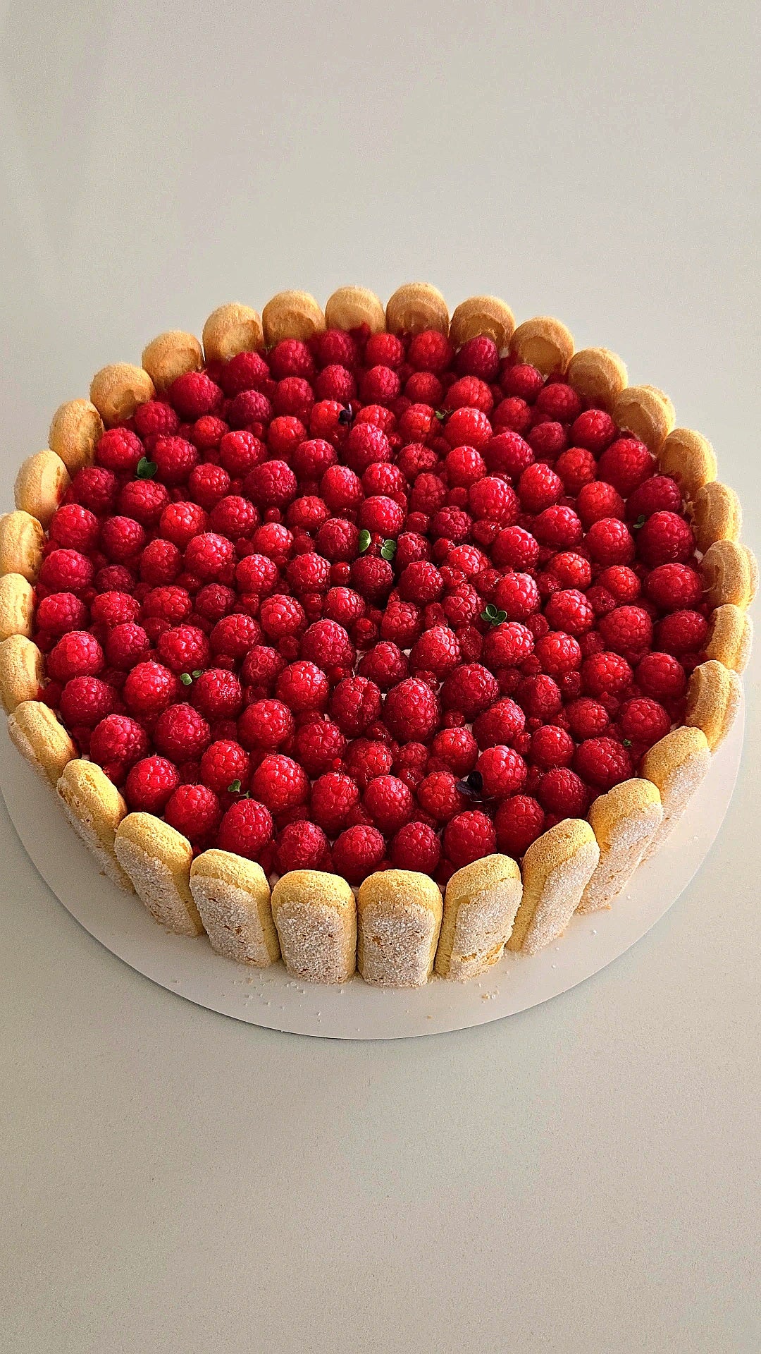 CHARLOTTE - INFINIMENT FRAMBOISE