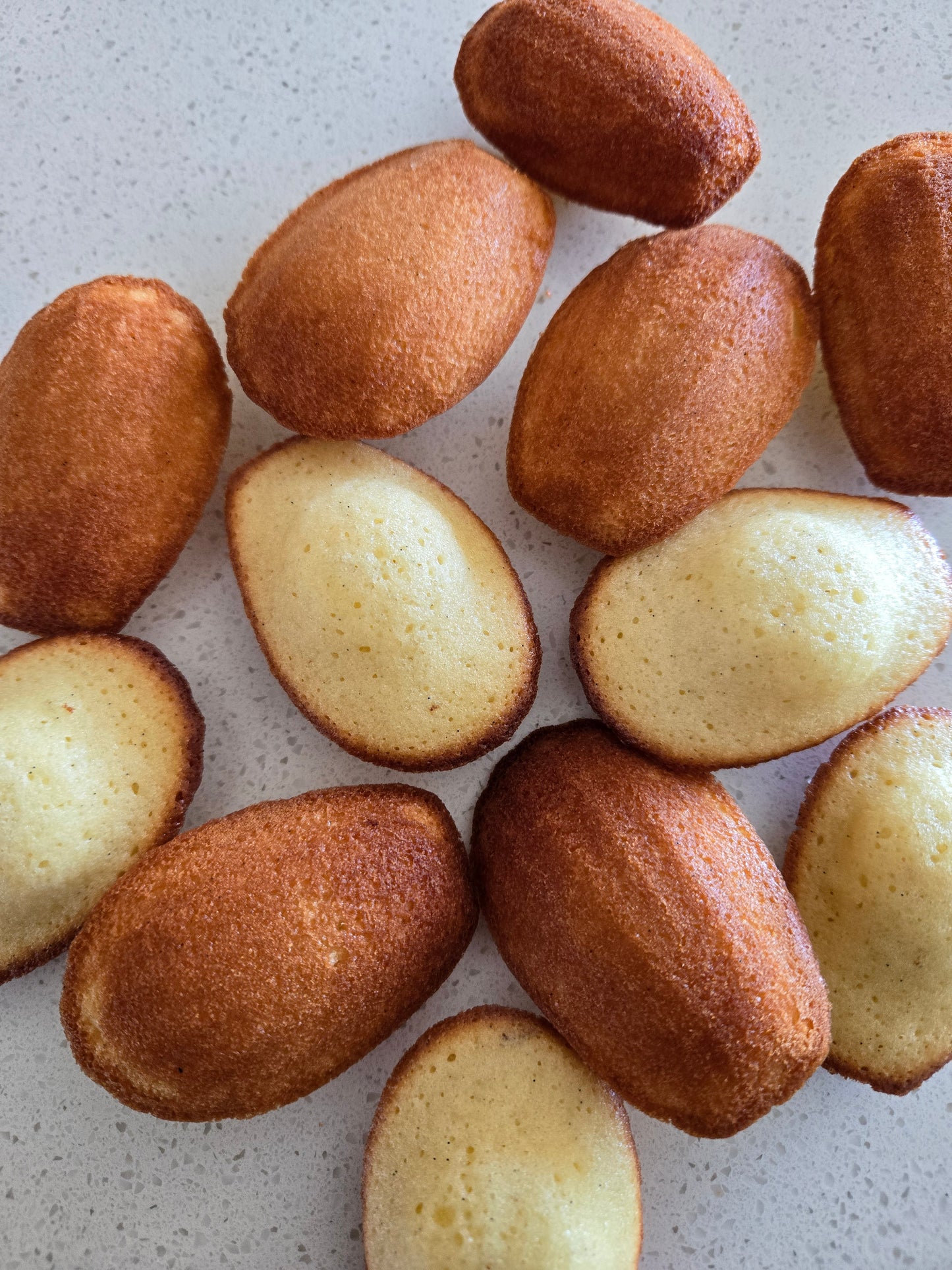 MADELEINES - CLASSIC COLLECTION (BOX OF 12)