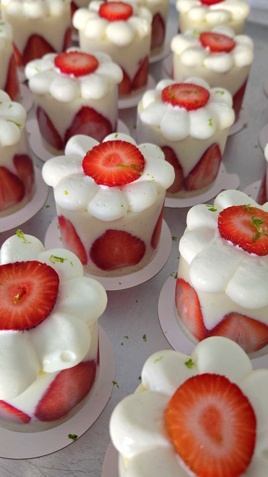 FRAISIER - INDIVIDUAL-SIZED COLLECTION