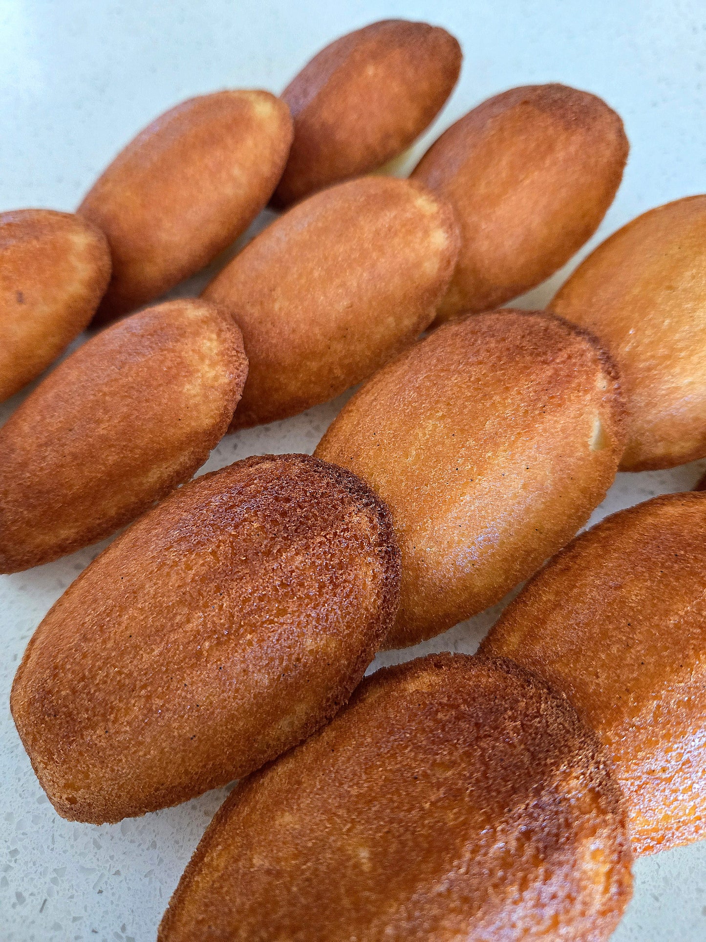 MADELEINES - CLASSIC COLLECTION (BOX OF 12)