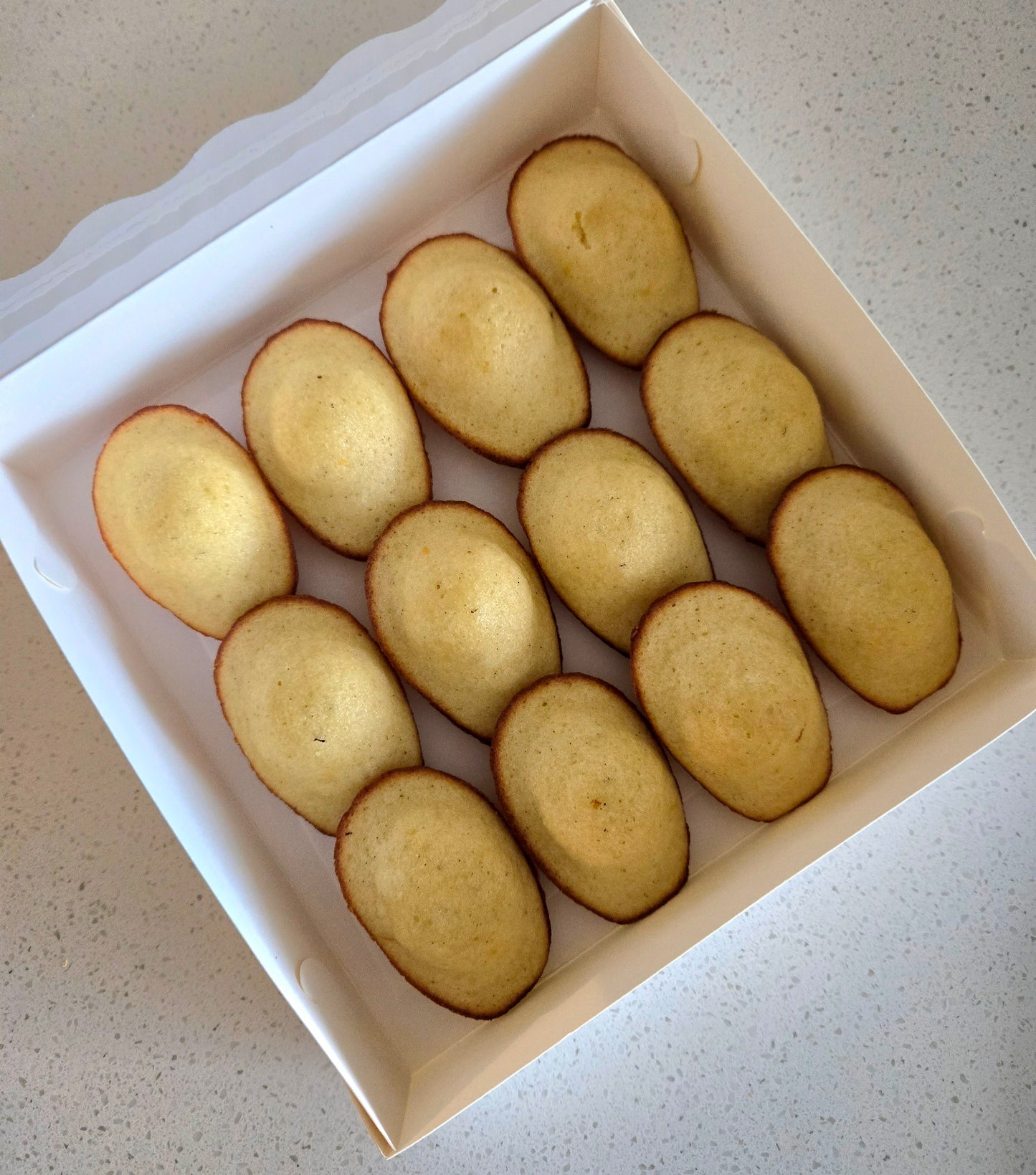 MADELEINES - CLASSIC COLLECTION (BOX OF 12)