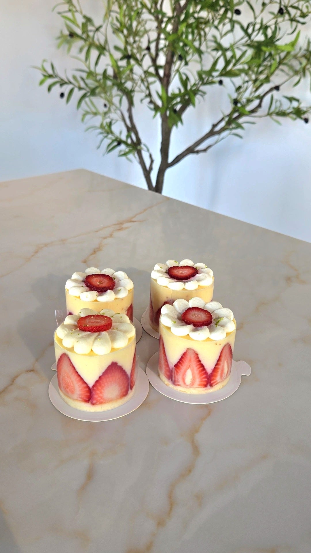 INDIVIDUAL-SIZED FRAISIER