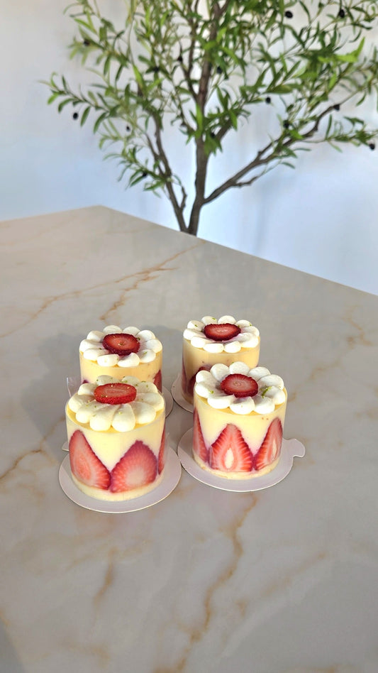 INDIVIDUAL-SIZED FRAISIER