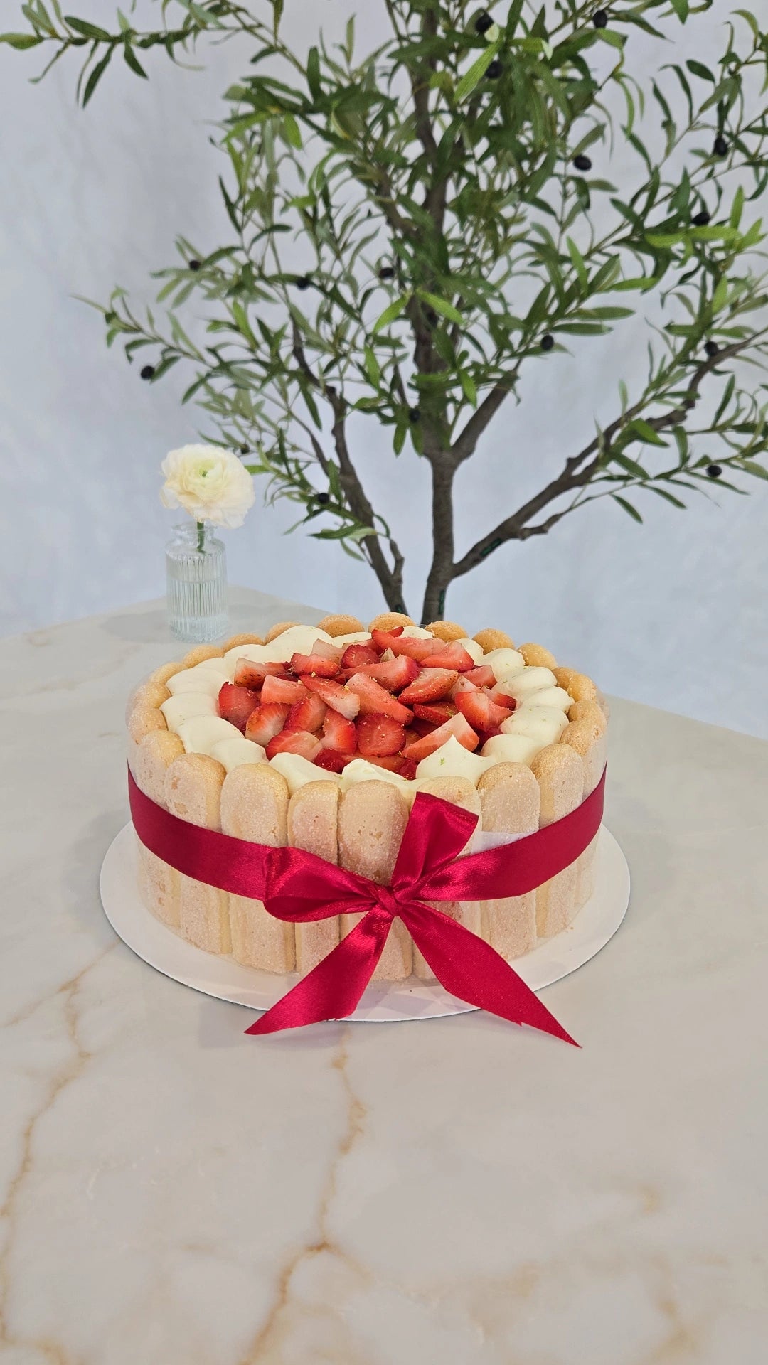 CHARLOTTE - FRAISE (STRAWBERRY)