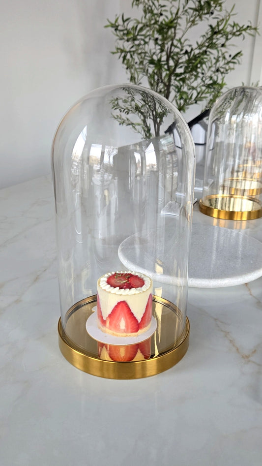 FRAISIER - INDIVIDUAL SIZE