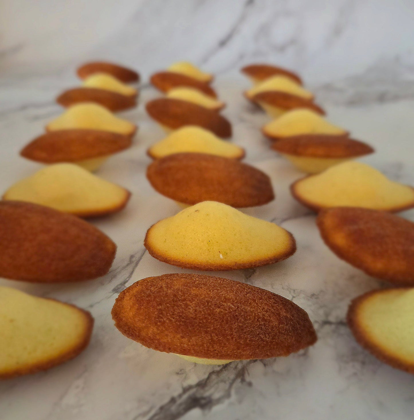 MADELEINES - CLASSIC COLLECTION (BOX OF 12)